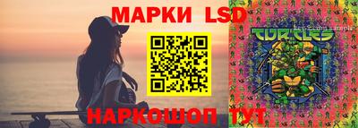 шишки Чебоксары