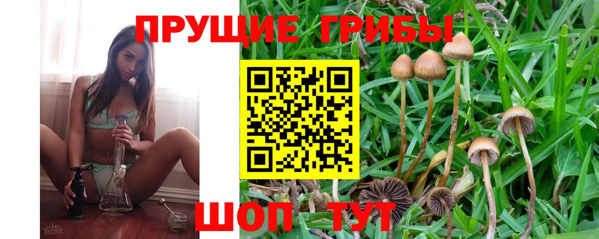 наркотики  Псилоцибиновые грибы Magic Shrooms  Галлюциногенные грибы Magic Shrooms  Вход с VPN  Ачинск 
